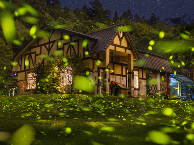Firefly Hut