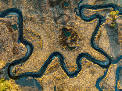 Estuary #422