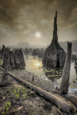 Dead Lakes