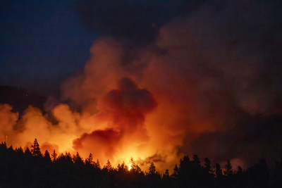 Wildfire #3