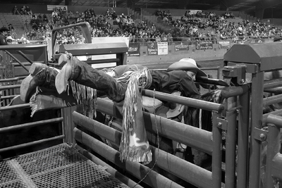 Saddle up
