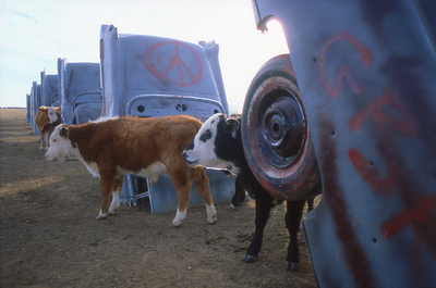Peace and Love at Cadillac Ranch