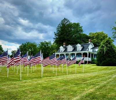 Flags for Independence Day