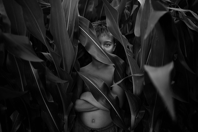 Knee High