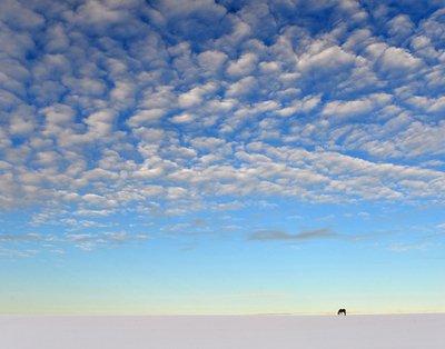 Winter Calm