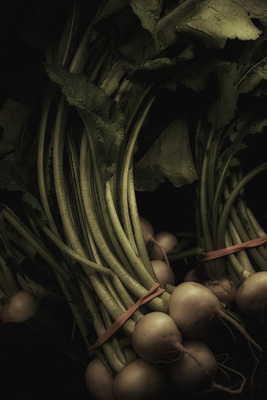 Harvest Time