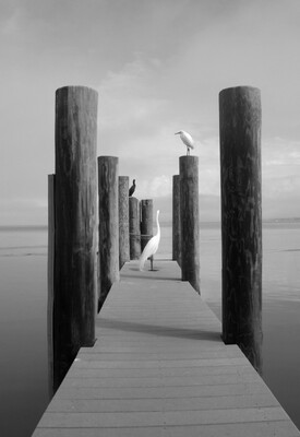 Hope Two