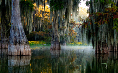Southern Charm
