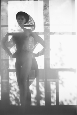 Shades and shadows I