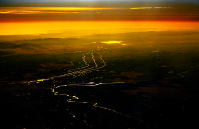 Vein of Life