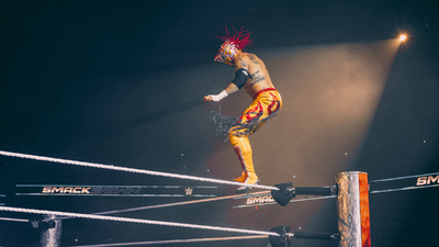 Flying Fenix