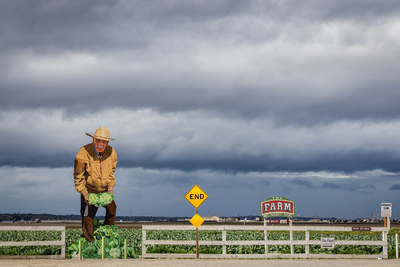 Farm to Table