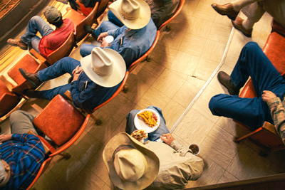 Cattle Auction