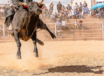 Rodeo!