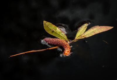 Floating By