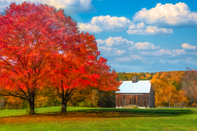 Vermont Autumn