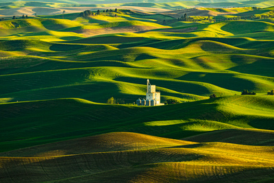 Waves of Grain